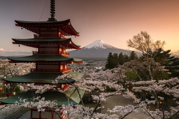 Güzel manzaralı dağ Fuji ve Chureito Pagoda kiraz çiçeği bahar, Fujiyoshida, Japonya