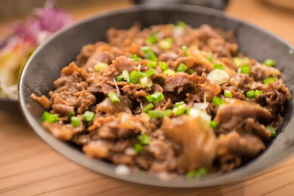 Ensemble de gyudon : nourriture japonaise au boeuf et riz — Photo