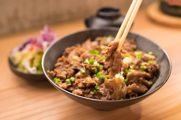 Conjunto de gyudon: comida japonesa con carne y arroz Imagen de archivo