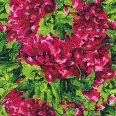 suluboya Peonies desenle