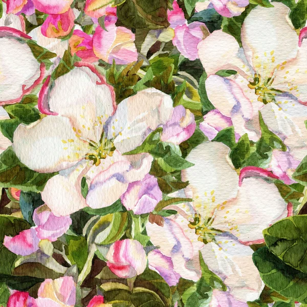 Bezešvé vzor s květinami Apple — Stock fotografie