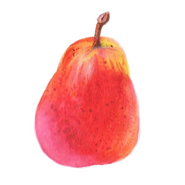 Aquarel handgetekende pear — Stockfoto