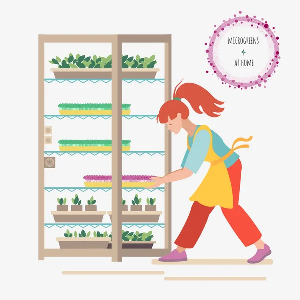 Una Mujer Joven Cultiva Microgreens Invernadero Casero Ilustración Vectorial Estilo — Vector de stock