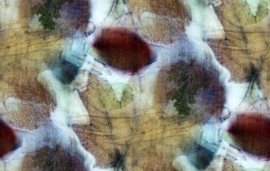 Doğal ipek üzerinde yaprak izleri olan kusursuz botanik izleri. El çizimi illüstrasyon.