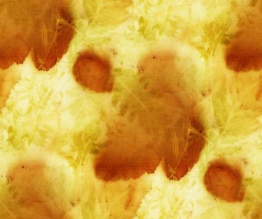 Doğal ipek üzerinde yaprak izleri olan kusursuz botanik izleri. El çizimi illüstrasyon.