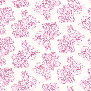 Orkidelerle kusursuz desen. Phalaenopsis. El çizimi illüstrasyon.