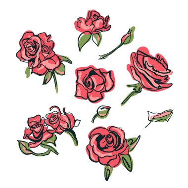 Beyaz arka planda izole edilmiş karalama tarzı gül çizimleri. Vektör illüstrasyonu.