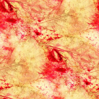 Doğal ipek üzerinde yaprak izleri olan kusursuz botanik izleri. El çizimi illüstrasyon.