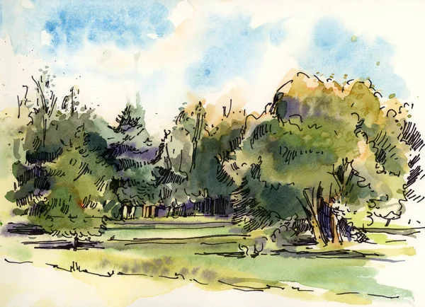 Summer landscape. Drawing in watercolor and ink. Hand-drawn illustration.