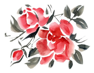 Beyaz arka planda kırmızı suluboya güller. El çizimi illüstrasyon. 