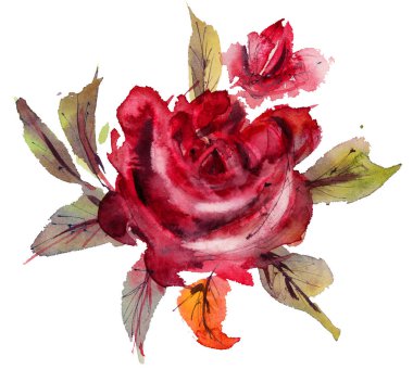 Beyaz arka planda kırmızı suluboya güller. El çizimi illüstrasyon. 