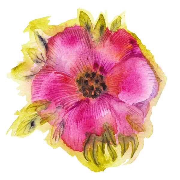 Watercolor flower. — Stock Photo, Image
