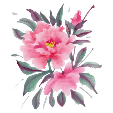 Pembe Şakayık suluboya çiçek