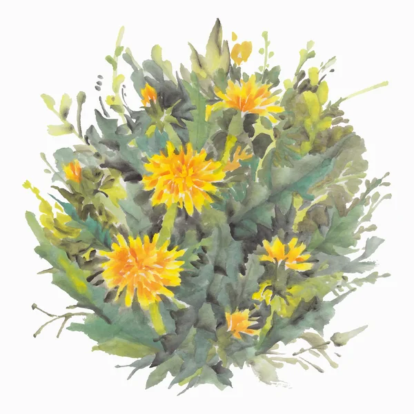 Одуванчики акварельные цветы — стоковый вектор