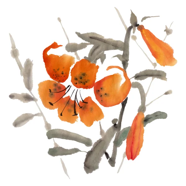 Акварельні квіти тигрової лілії — стоковий вектор
