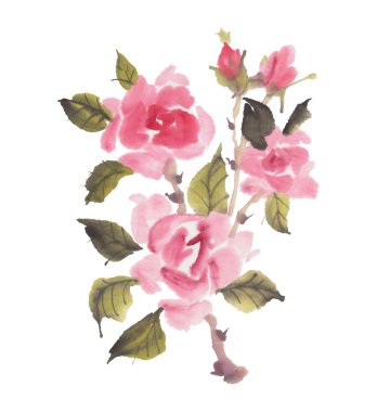 Suluboya gül illüstrasyon