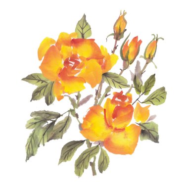 suluboya gül çiçek