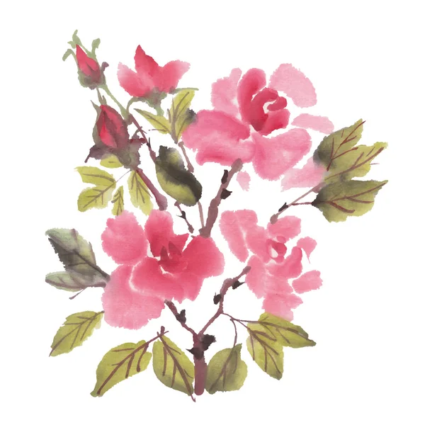 Aquarela Rosas Flores — Vetor de Stock