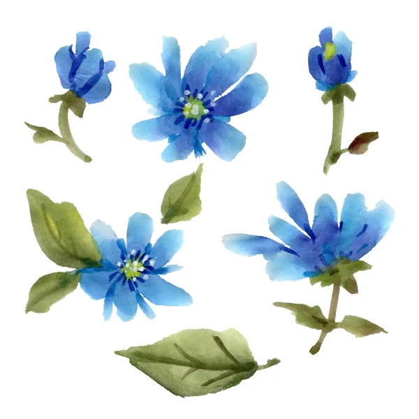 Acuarela azul flores — Foto de Stock