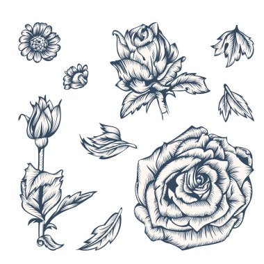 siyah ve beyaz çiçekler