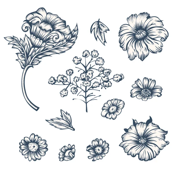 Black and white flowers — Stock Vector