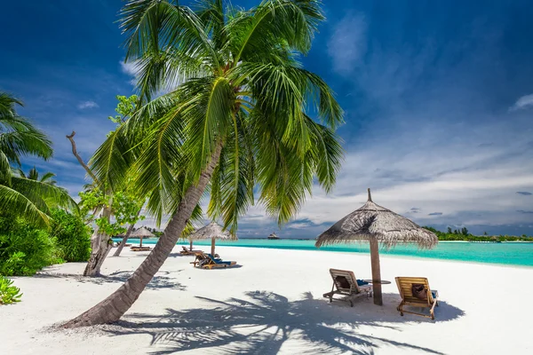 Natural laid-back tropical beach — Stock Photo, Image