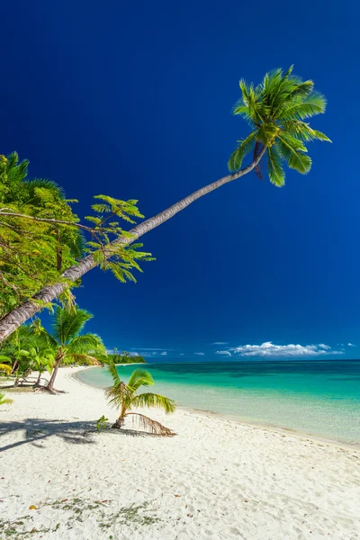 Playa tropical natural relajada — Foto de Stock