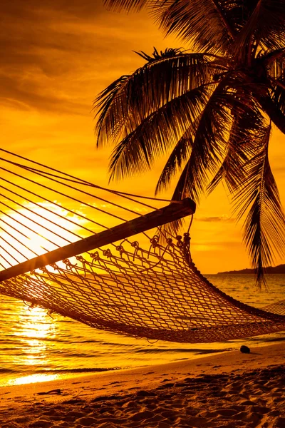 Palm tree with hammock — Stock Photo, Image