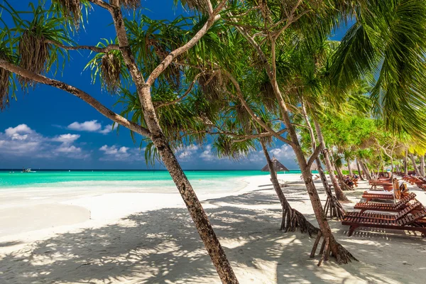 Naturbelassener tropischer Strand — Stockfoto