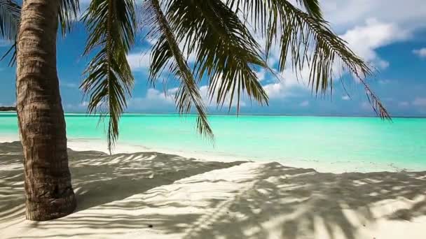 Palmen bomen over tropische lagune — Stockvideo