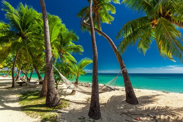 Hangmat in de schaduw van palmbomen — Stockfoto