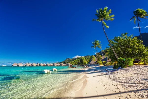 Tropical resort with sandy beach and palm trees on Moorea — Stock Photo, Image