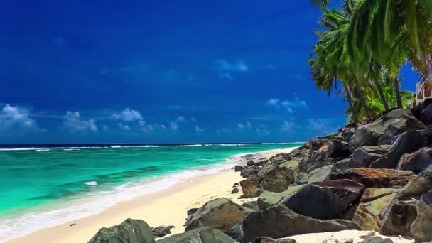 Olas en una playa tropical desierta, Islas Cook, Rarotonga — Vídeo de stock