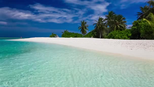 Palmeras sobre laguna tropical con playa blanca en Maldivas — Vídeos de Stock