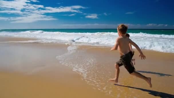 晴れた日に砂浜の活気に満ちたビーチで走っている二人の小さな男の子 — ストック動画