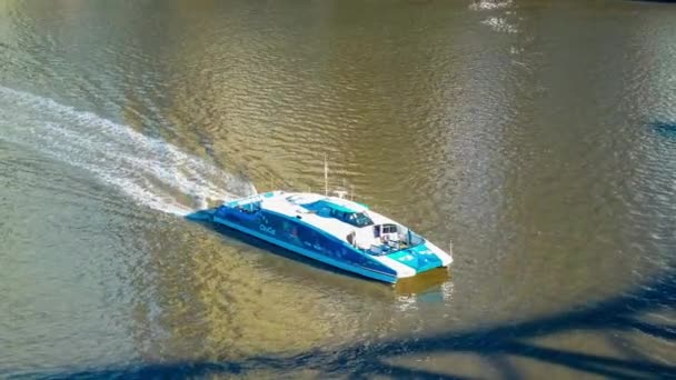 Μπρισμπέιν, AUS-Ιουν 10 2016: κοντινά πλάνα ενός Citycar οχηματαγωγών σε ποταμό Μπρισμπέιν, Αυστραλία — Αρχείο Βίντεο