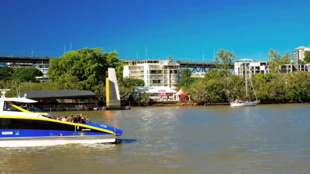 BRISBANE, AUS - 1 de julio de 2016: Primer plano de un ferry Citycat en un río Brisbane, Australia — Vídeo de stock