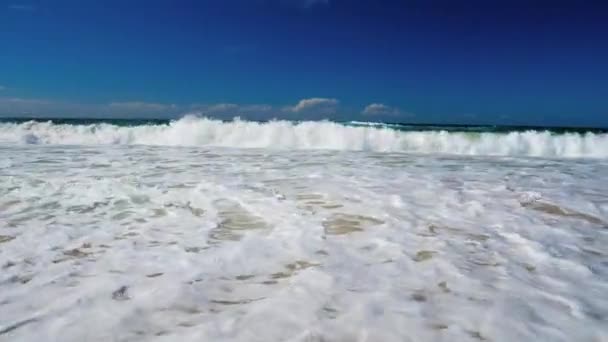 Waves wash over golden sand on Australian beach, Gold Coast — Stock Video