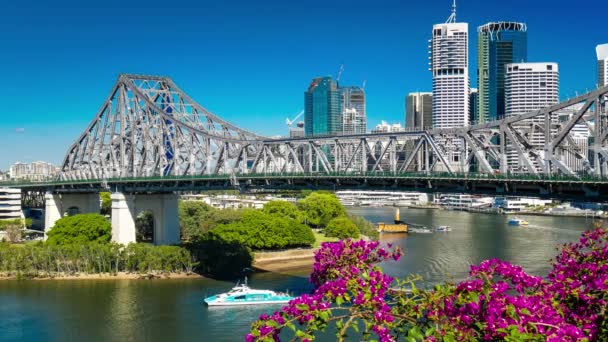 Färja under Story bro i Brisbane — Stockvideo