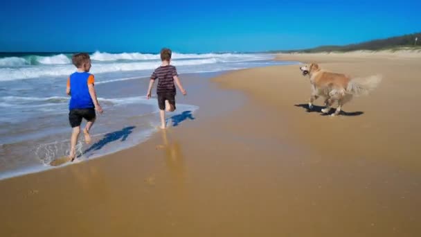 Jungen rennen am Strand — Stockvideo