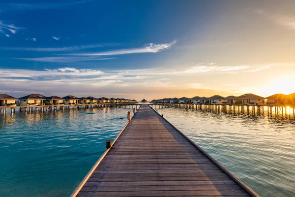 Jetty Zwematol Een Tropisch Resort Eiland Malediven — Stockfoto