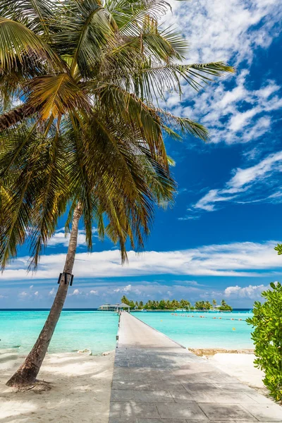 Praia Tropical Maldivas Com Palmeiras Lagoa Convidativa Vibrante — Fotografia de Stock