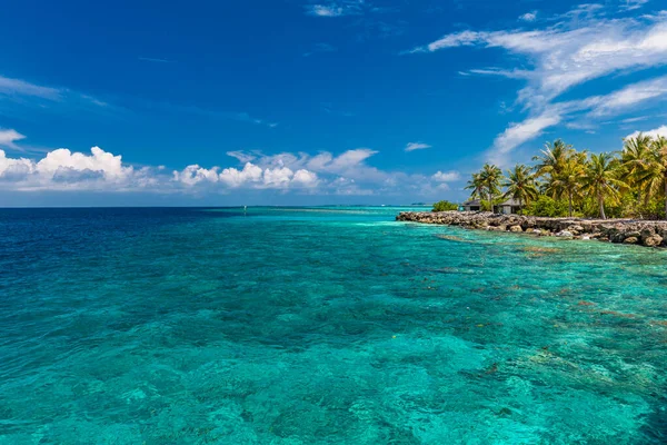 Trópusi Strand Maldív Szigeteken Pálmafákkal Élénk Hívogató Lagúnával — Stock Fotó