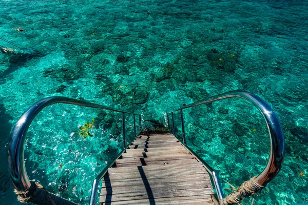 Jetty Sur Atoll Natation Une Île Tropicale Aux Maldives — Photo