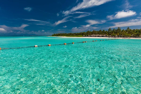 Tropisch Strand Malediven Met Palmbomen Levendige Uitnodigende Lagune — Stockfoto