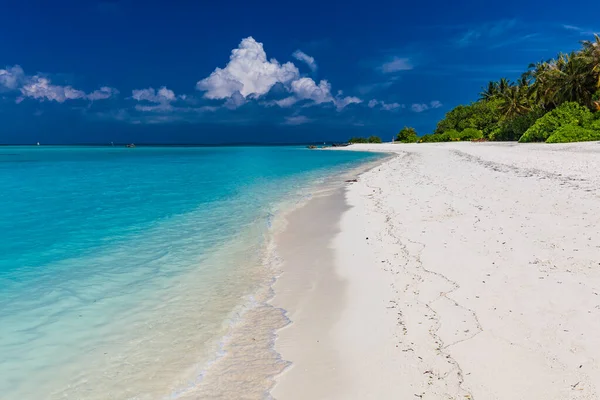 Τροπική Παραλία Στις Μαλδίβες Φοίνικες Και Ζωντανή Φιλόξενη Λιμνοθάλασσα — Φωτογραφία Αρχείου