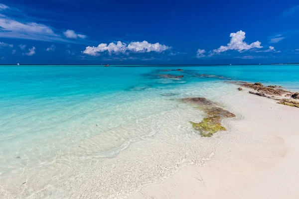 Weißer Sandstrand Auf Den Malediven Mit Blauer Lagune Und Blauem — Stockfoto