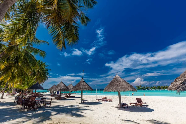 Tropisk Strand Maldiverna Med Palmer Och Livlig Inbjudande Lagun — Stockfoto