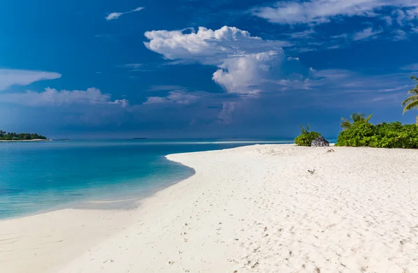 Tropikalna Plaża Malediwach Palmami Tętniącą Życiem Laguną — Zdjęcie stockowe