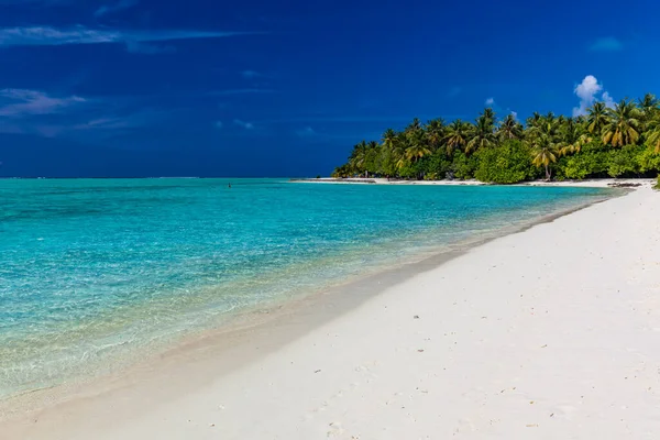 Praia Tropical Maldivas Com Palmeiras Lagoa Convidativa Vibrante — Fotografia de Stock